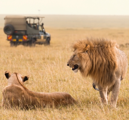 Wildlife Holidays